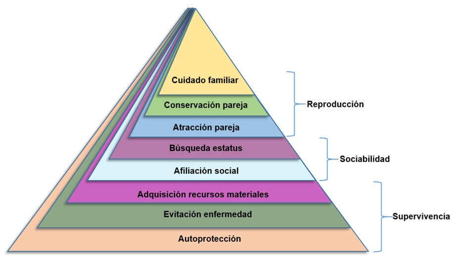 ¿Por qué adolescentes y jóvenes asumen riesgos? Una mirada desde la psicología evolutiva 2
