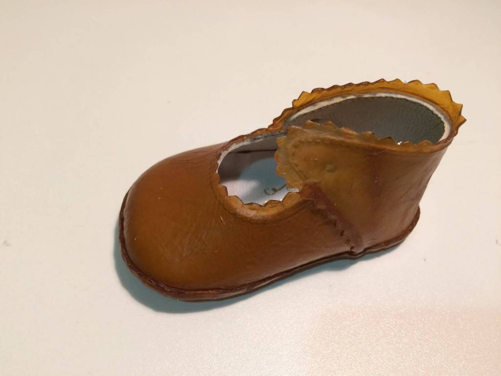 ¿Pueden las bacterias producir celulosa como las plantas? 4