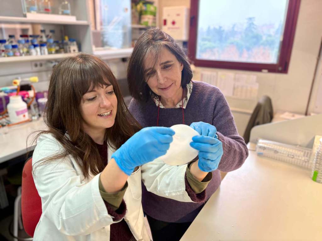 ¿Pueden las bacterias producir celulosa como las plantas? 