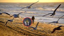 ¿Quieres una vida con propósito? La ciencia revela que la clave no es la felicidad, sino la esperanza