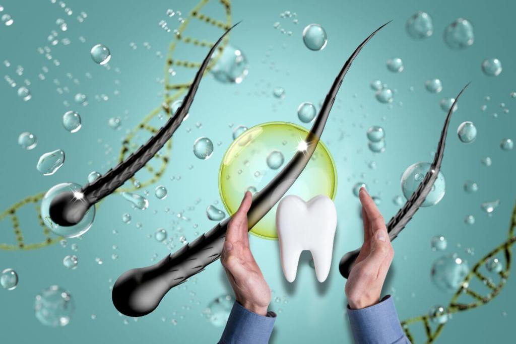 ¿Un dentífrico hecho con cabello o lana? La ciencia descubre cómo reparar los dientes con queratina 3