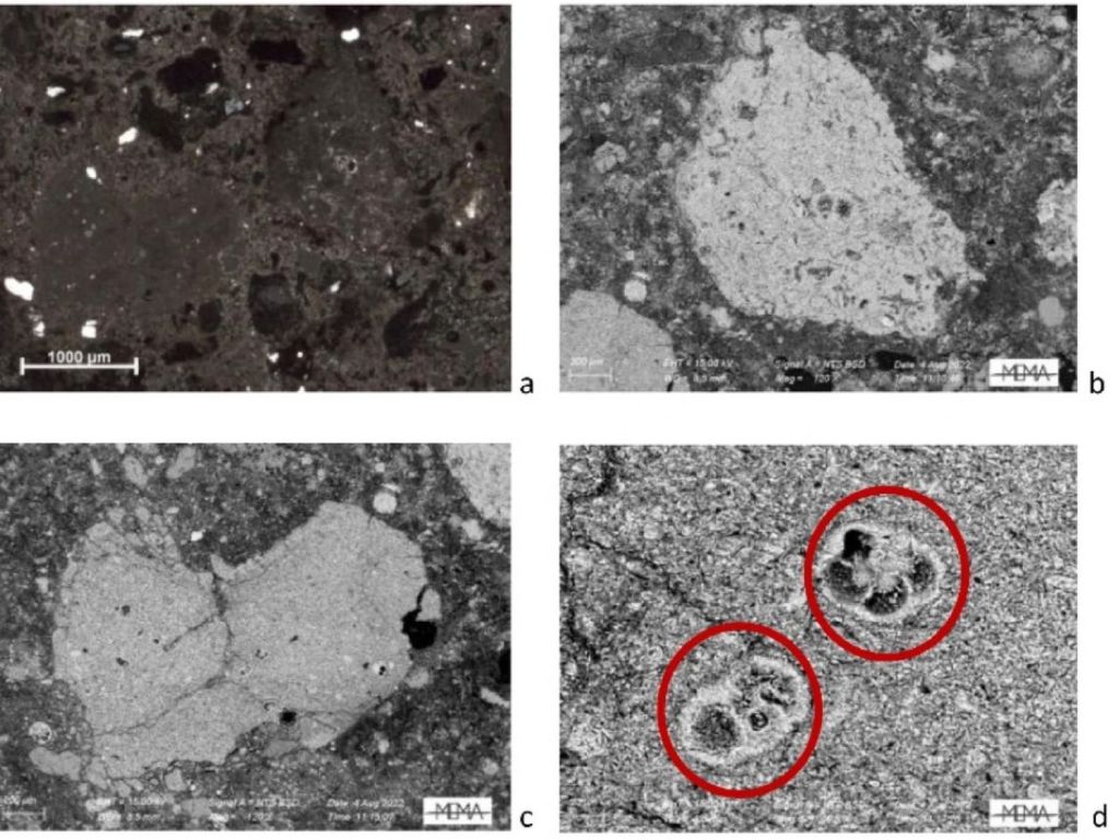 Microfotografías de las secciones de dos fragmentos de caliza, Tell el-Burak