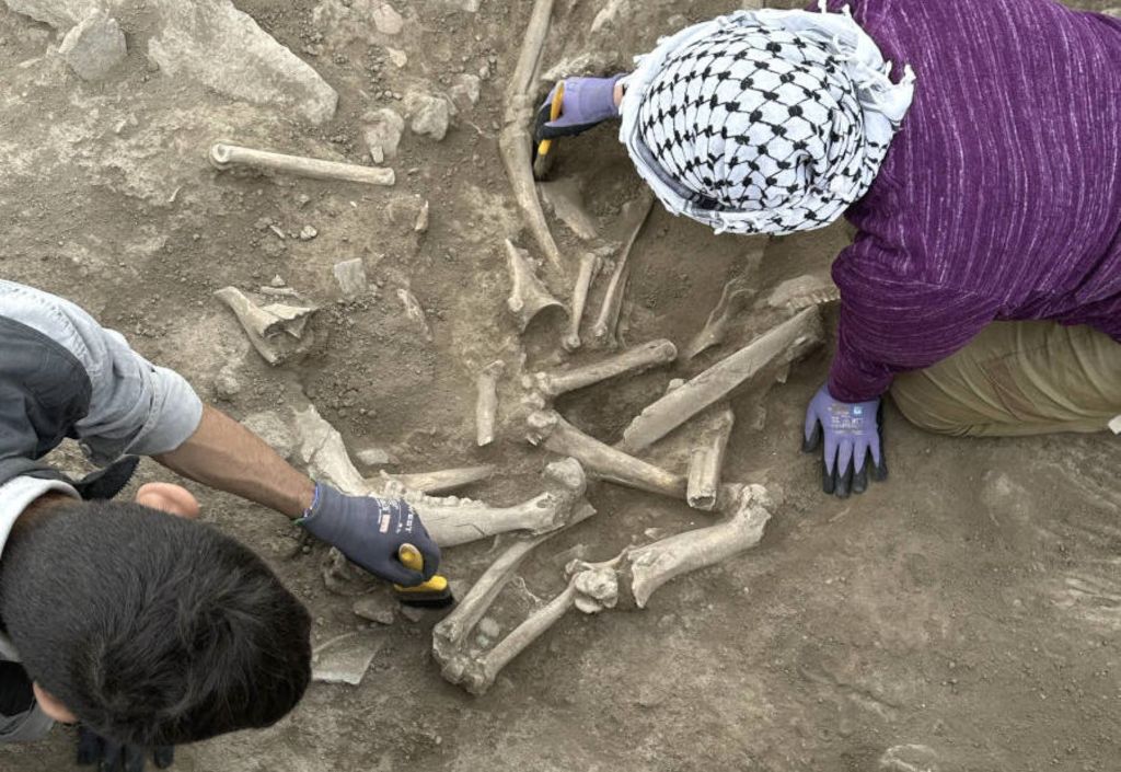 Restos humanos, Zippalanda