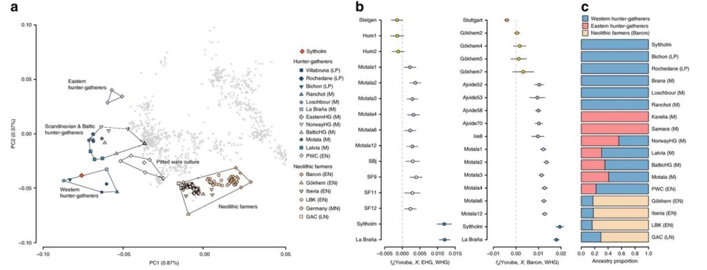 Individuo de Syltholm