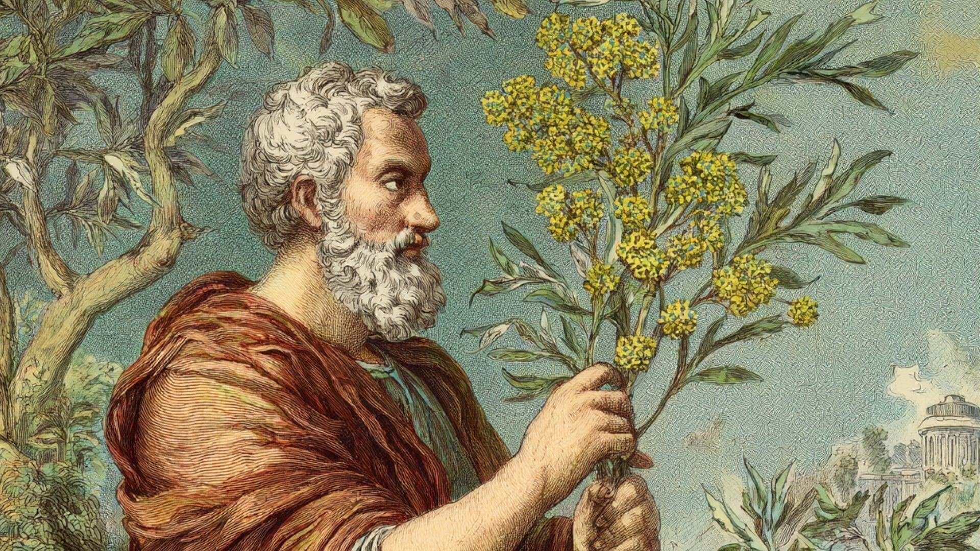 Medicina en la antigüedad