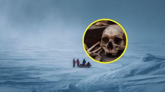 Canibalismo de superviveencia