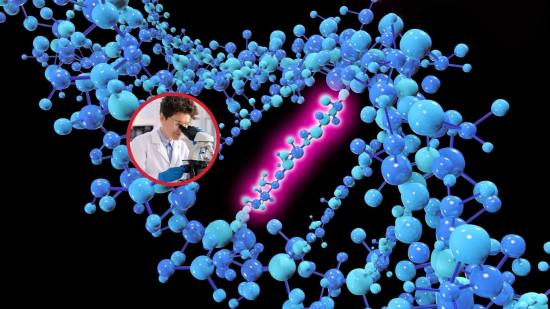 Acción mutante, Así afectan las mutaciones a tu salud, tu ADN y al futuro de la especie