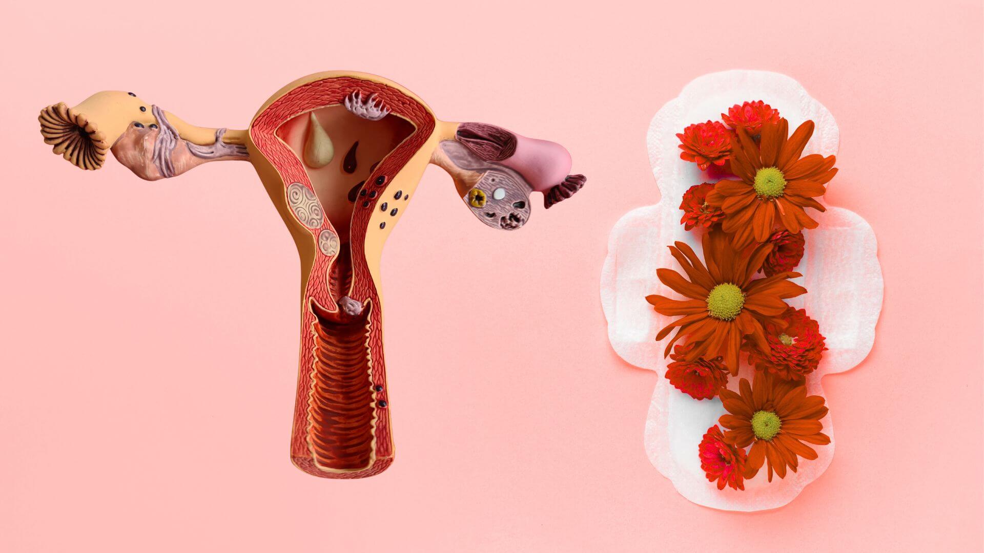 Así funciona el nuevo test menstrual que detecta endometriosis (en minutos y sin dolor) con nanomateriales y tecnología fotónica