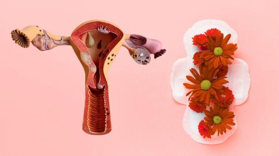 Así funciona el nuevo test menstrual que detecta endometriosis (en minutos y sin dolor) con nanomateriales y tecnología fotónica