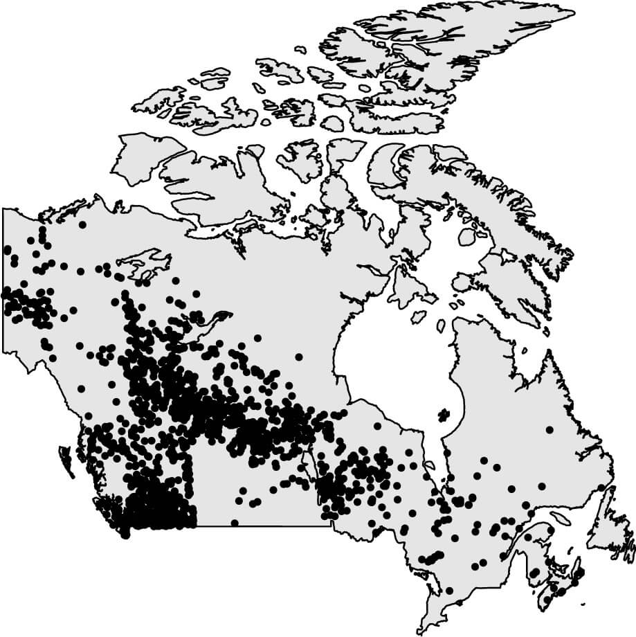 Brujuleando con la estadística: cuando los datos tienen coordenadas