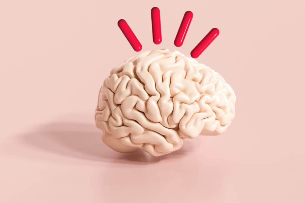 Cuando la recompensa engaña al cerebro, así decides a qué prestar atención y qué ignorar, según la ciencia 1