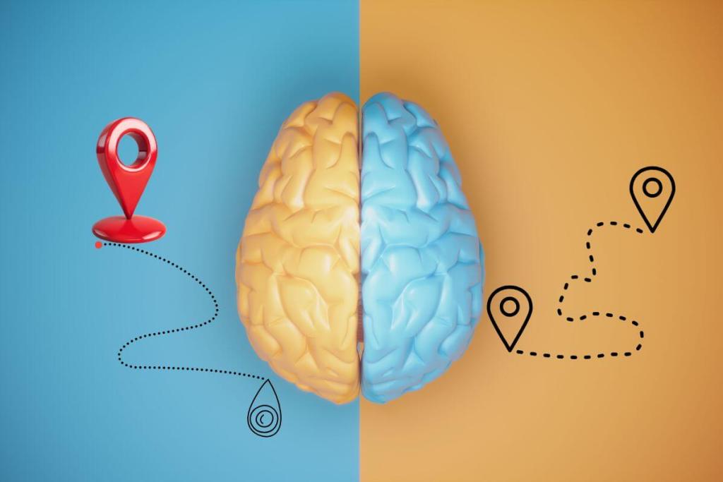 El cerebro tiene su propio GPS, descubren las áreas que mantienen nuestro sentido de la dirección 1