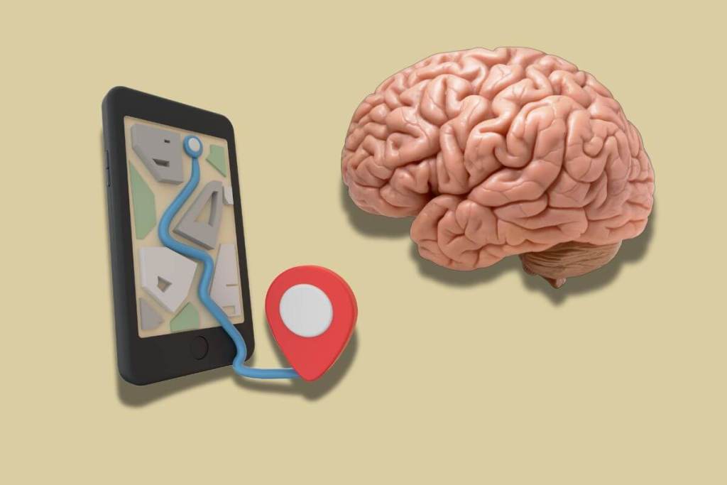 El cerebro tiene su propio GPS, descubren las áreas que mantienen nuestro sentido de la dirección 2