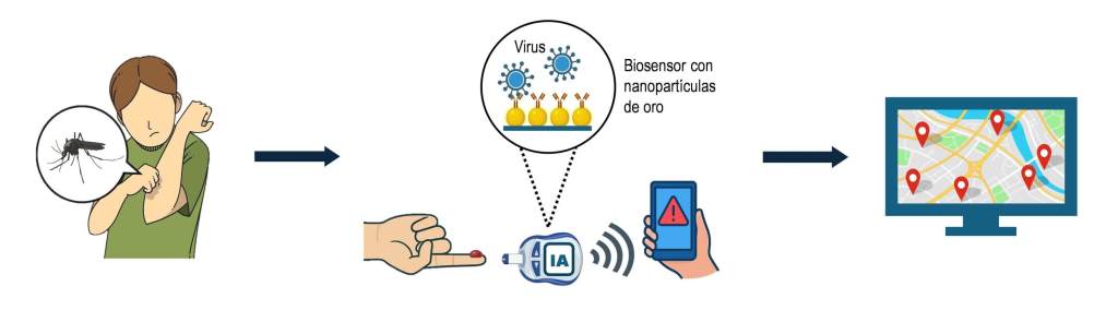 Los virus también viajan en verano: la nanotecnología y la IA en la lucha contra las enfermedades transmitidas por mosquitos