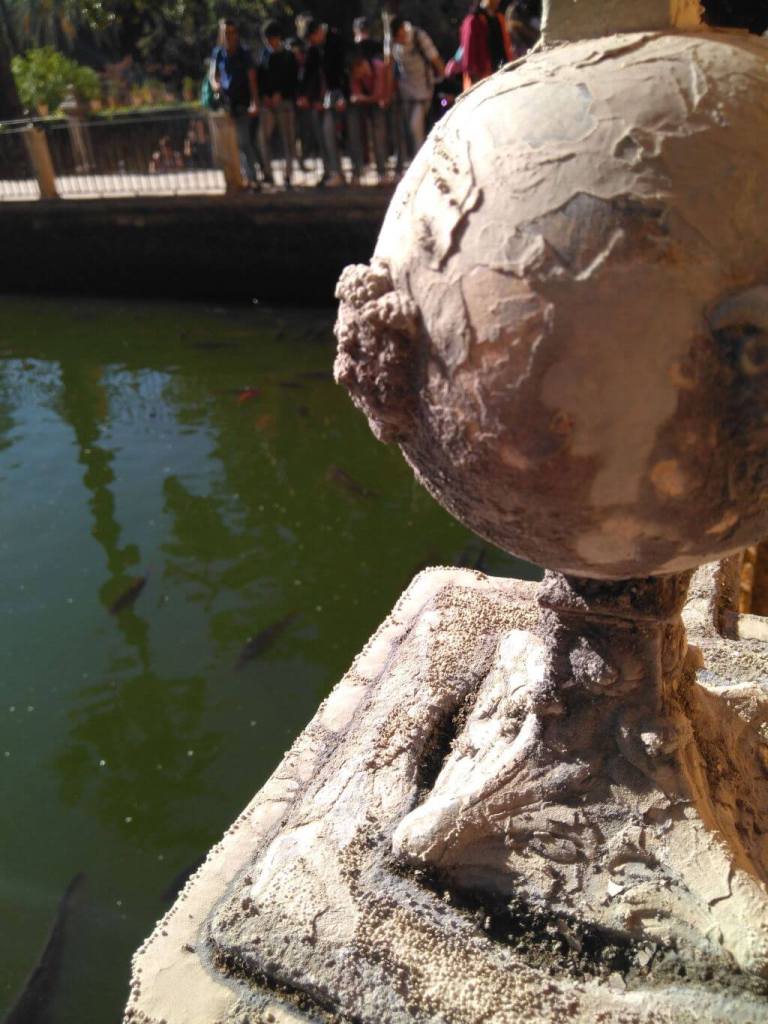  Patrimonio abierto, investigación y sociedad PTI-PAIS: así trabajan las plataformas del CSIC que impulsan la innovación y conservación del patrimonio