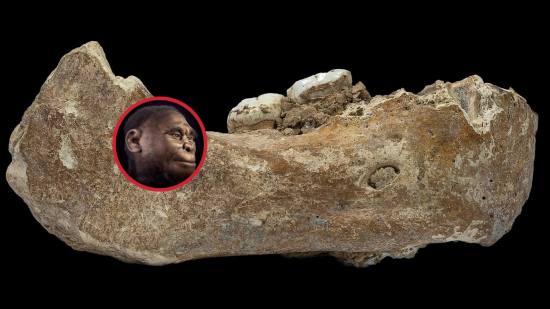 La huella secreta de los denisovanos en el sudeste asiático. un rompecabezas de nuestra evolución