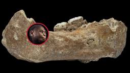 La huella secreta de los denisovanos en el sudeste asiático. un rompecabezas de nuestra evolución