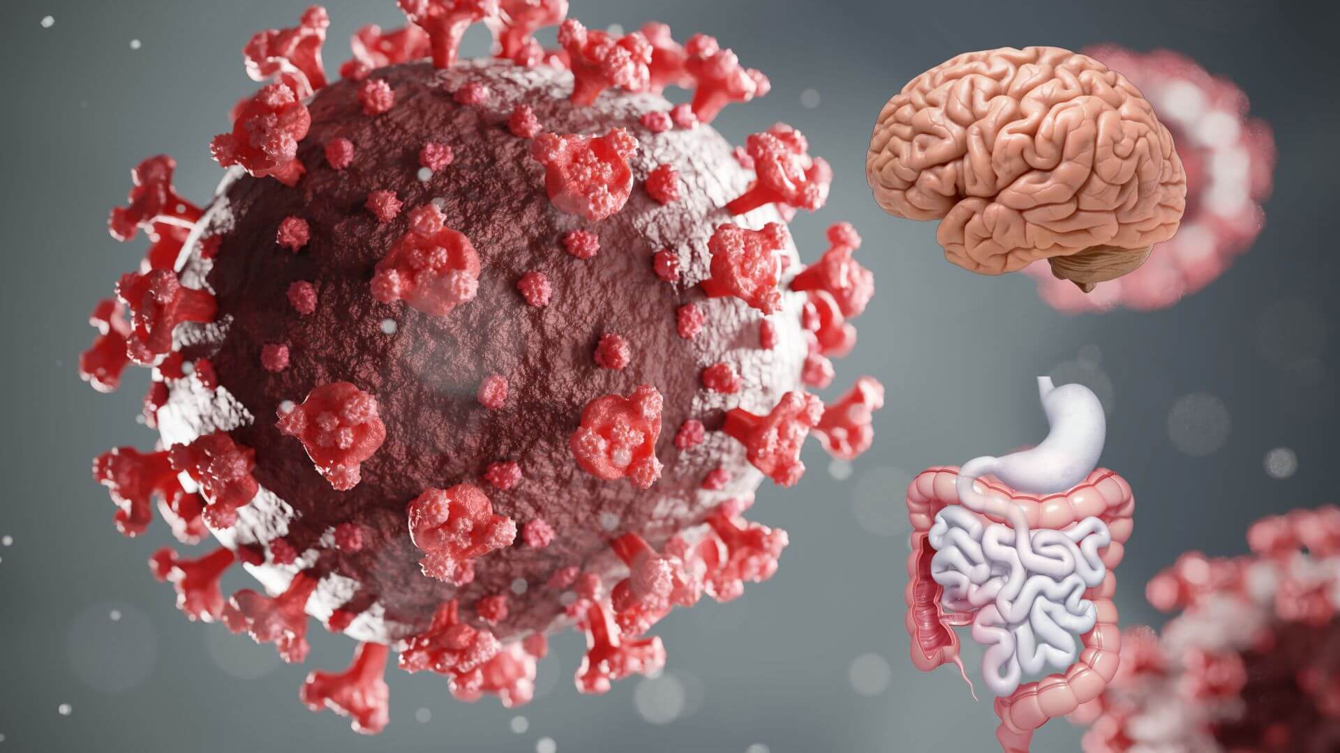 La pandemia dejó huella en el intestino, reportan más trastornos que conectan cerebro y digestión tras el COVID-19