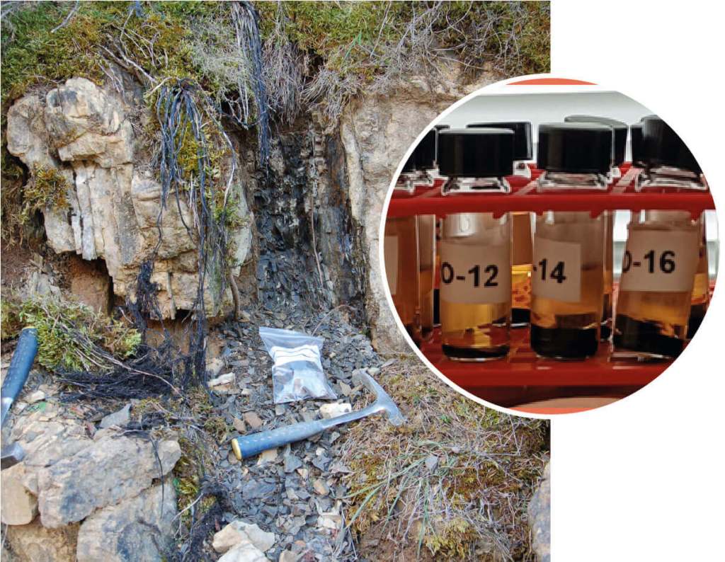 Los microfósiles de pared orgánica ¿qué son y para qué sirven