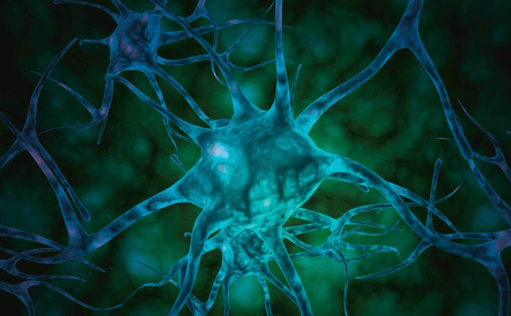 Muy Interesante - Septiembre 2025 - Número 532