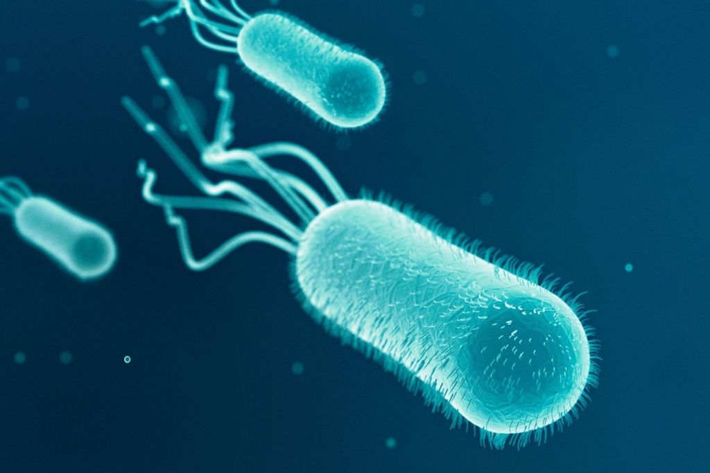 Una ilustración de E. coli. Desde hace años, los científicos compiten por reducir al mínimo el código genético de esta bacteria