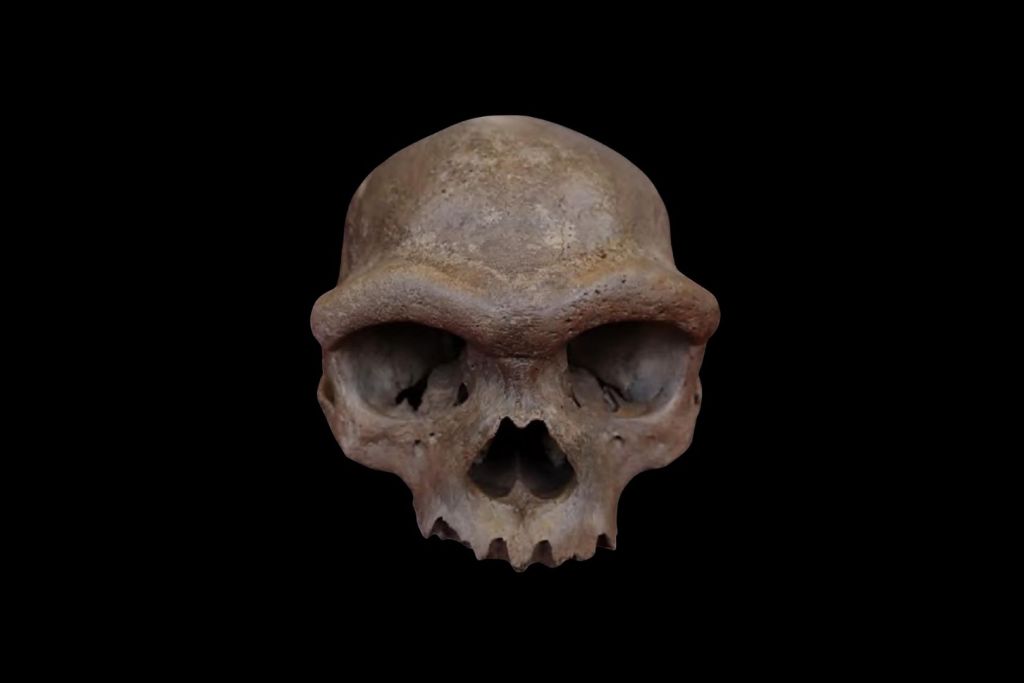 El cráneo de Harbin