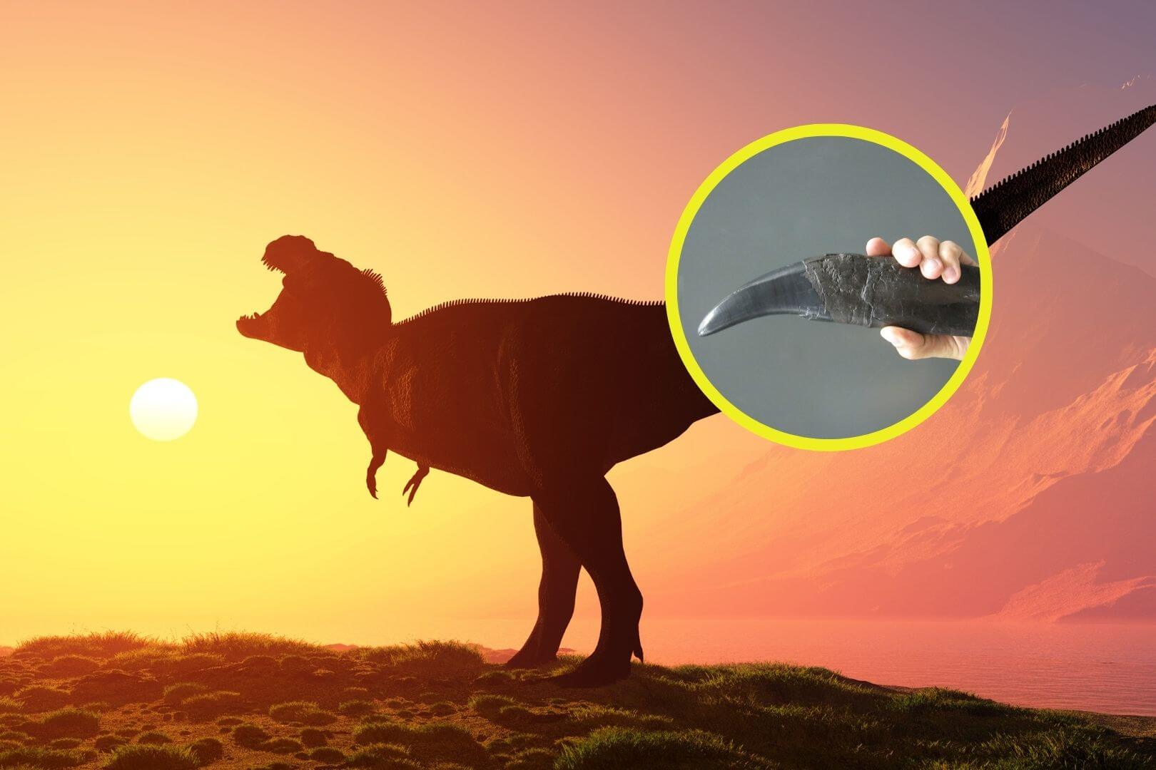 Científicos reconstruyen el aire de hace 150 millones de años usando dientes fosilizados