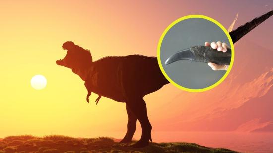 Científicos reconstruyen el aire de hace 150 millones de años usando dientes fosilizados