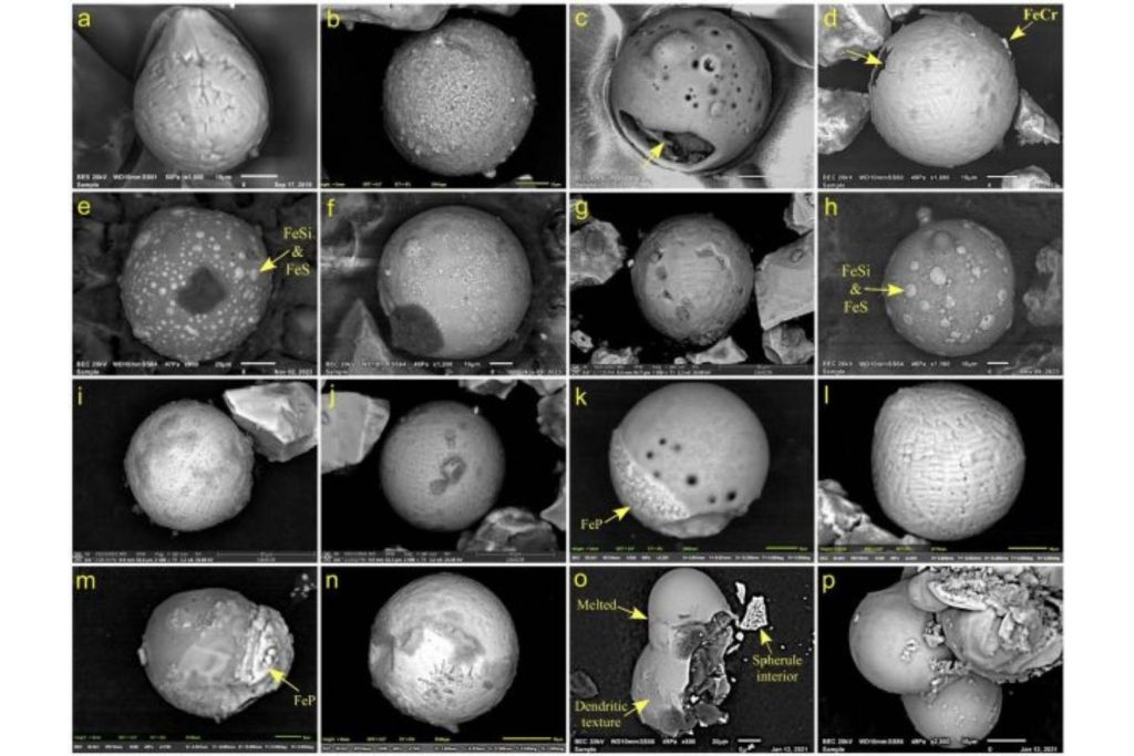 Algunas de las microesférulas ricas en sílice y hierro halladas en los núcleos de sedimentos