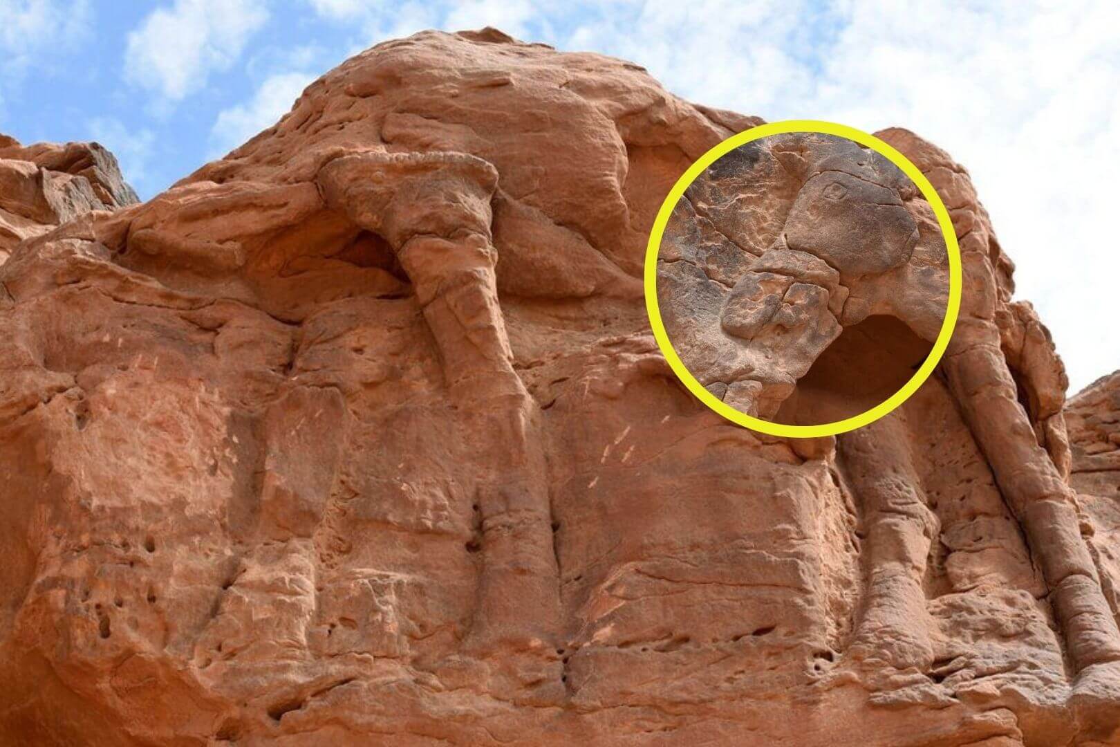 Las esculturas de camellos a tamaño real en Arabia Saudí son más antiguas que Stonehenge y las pirámides de Egipto