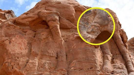 Las esculturas de camellos a tamaño real en Arabia Saudí son más antiguas que Stonehenge y las pirámides de Egipto