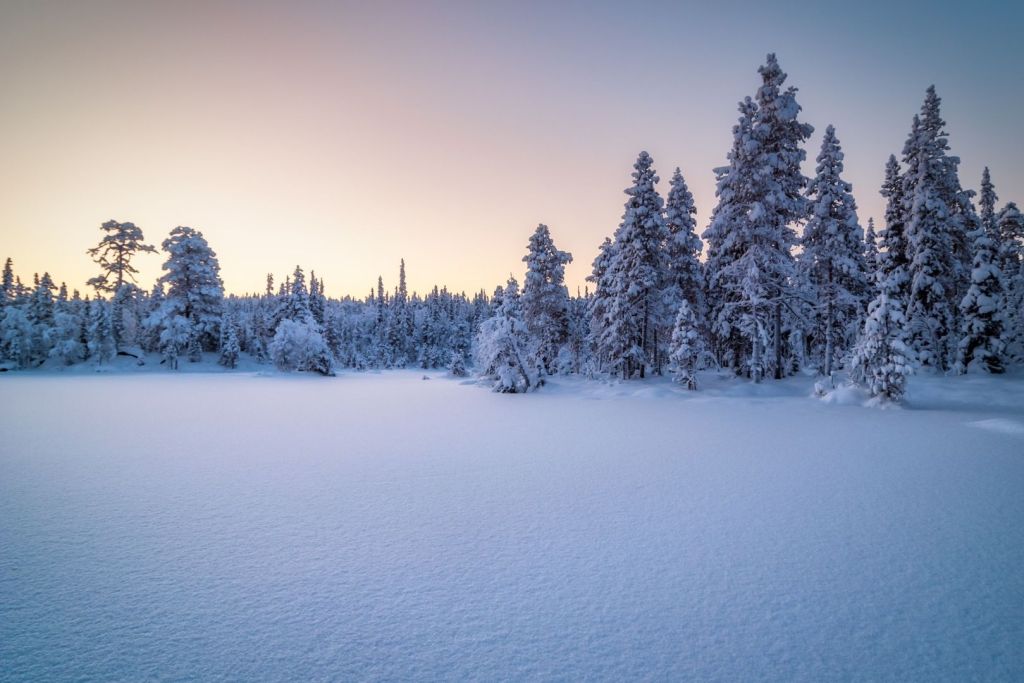 Durante el evento climático de hace 8.200 años, las comunidades humanas tuvieron que adaptarse rápidamente a un mundo en transformación