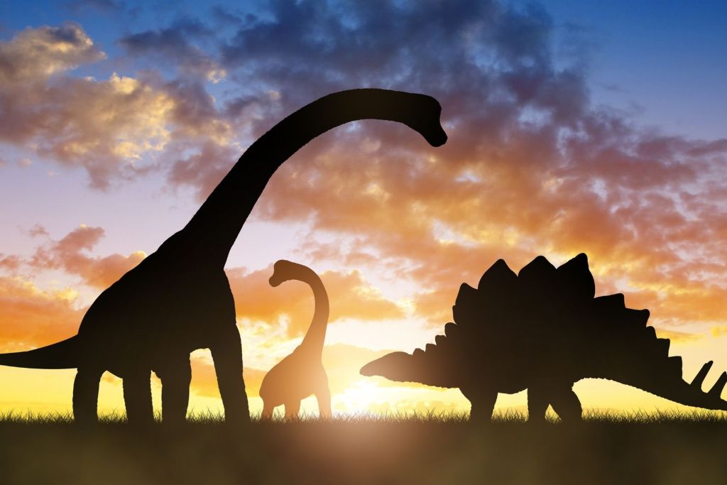 El clima prehistórico ha sido revelado gracias a los dientes de un T. rex