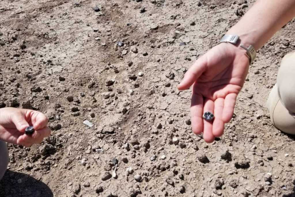 Fósiles dentales de un homínido hallados en Ledi-Geraru, Etiopía, durante una excavación en febrero de 2018