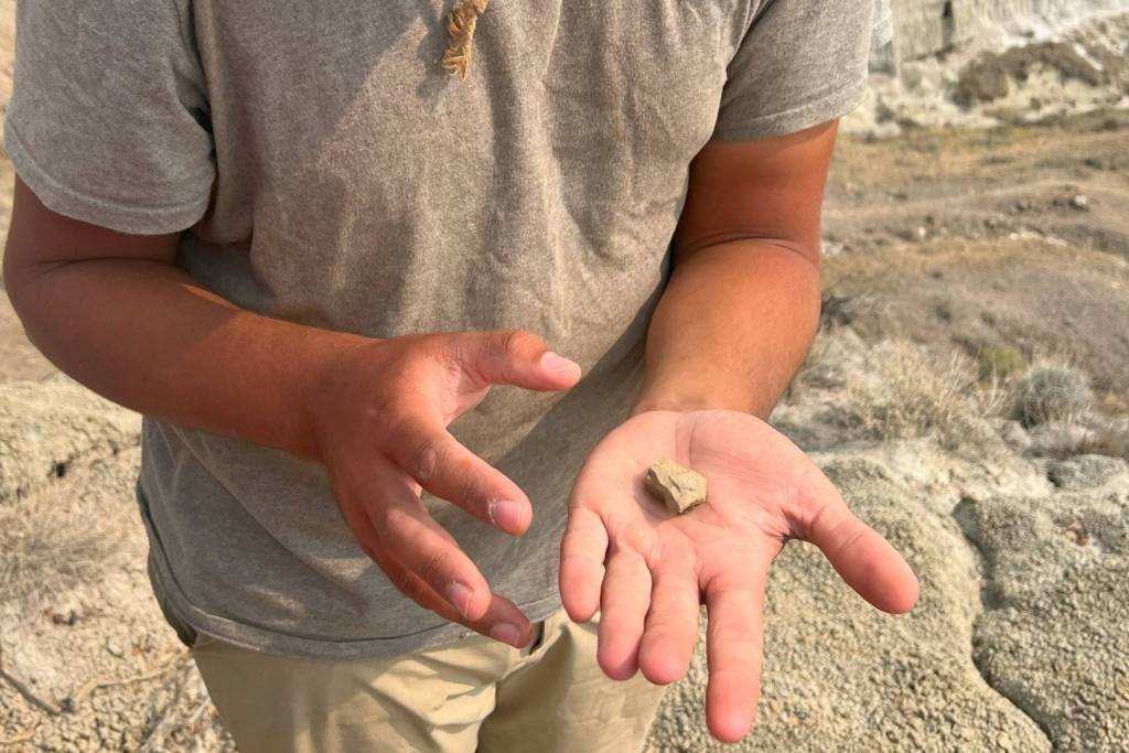 El fósil tal y como fue encontrado por los investigadores