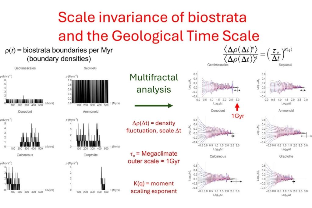 Gráficos que muestran la densidad de límites bioestratigráficos en distintos registros geológicos a lo largo de 500 millones de años