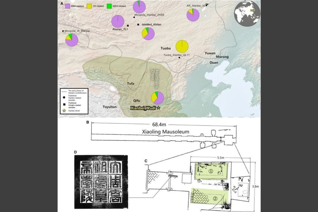 Arriba, la historia genética y la distribución geográfica de diversos clanes del norte de China y la actual Mongolia; abajo, un esquema muestra la tumba del emperador Wu, hallada en 1996