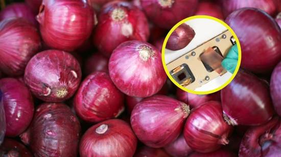 Hallan en la piel de cebolla un escudo solar más eficaz que el plástico