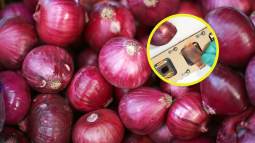 Hallan en la piel de cebolla un escudo solar más eficaz que el plástico