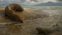 Reconstrucción artística de Reptanichnus acutori