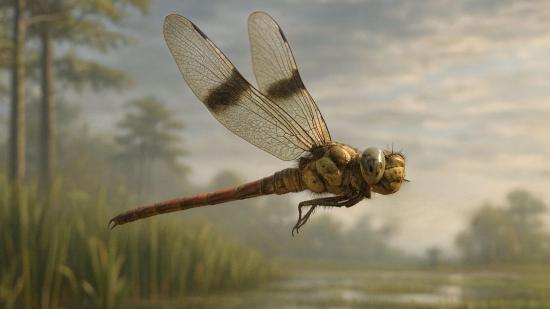 Hallan una libélula prehistórica de la era de los dinosaurios