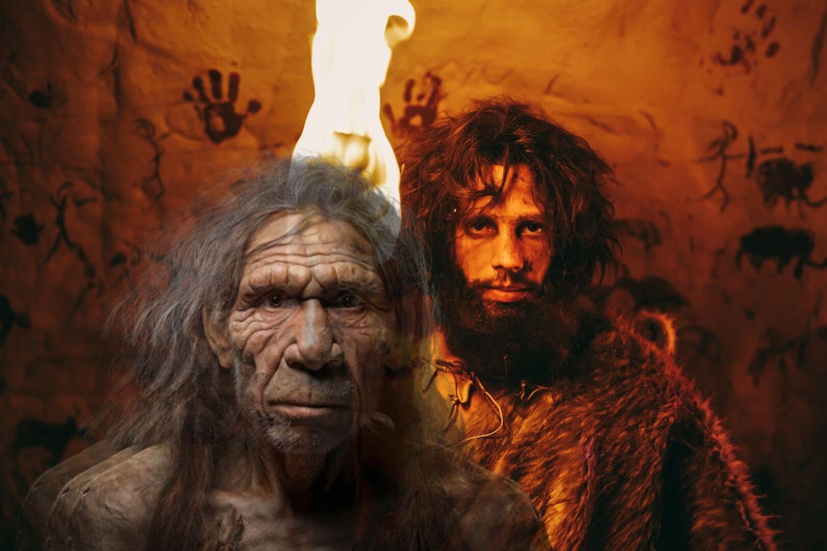 Detectan una mutación silenciosa en el cerebro humano que habría favorecido a los Homo sapiens en su ascenso evolutivo