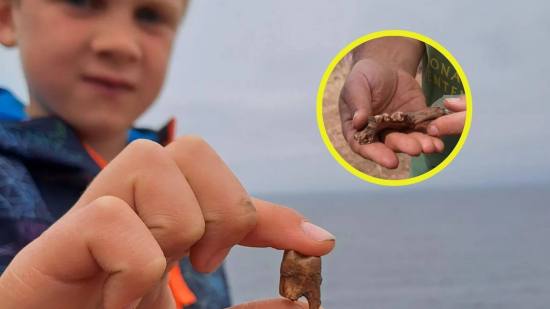 Descubren en Cornualles un posible cementerio costero tras el hallazgo de un niño de 7 años