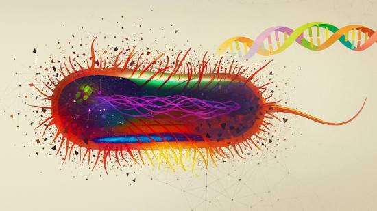 Recreación artística de E. Coli