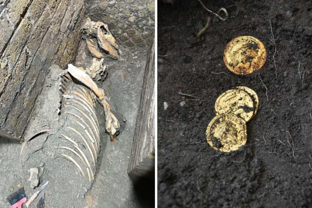 Restos óseos y monedas de oro hallados en Pompeya, testimonio silencioso de las vidas truncadas y los tesoros ocultos bajo la ceniza del Vesubio