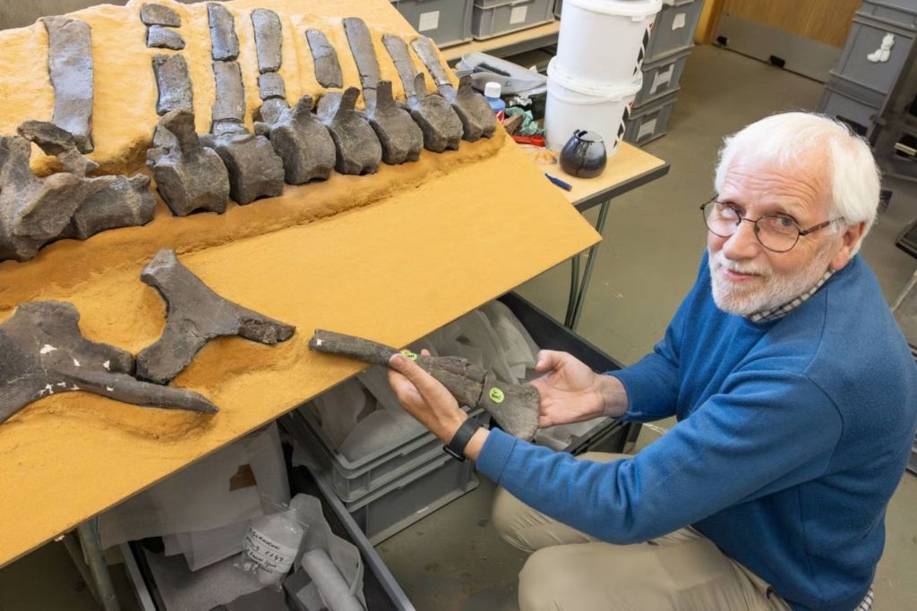 Jeremy Lockwood junto a la columna vertebral fósil de Istiorachis macarthurae