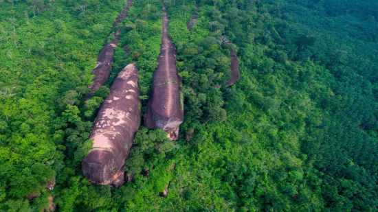 Desde el aire, las imponentes formaciones de piedra se asemejan sorprendentemente a una familia de ballenas deslizándose sobre un océano de árboles
