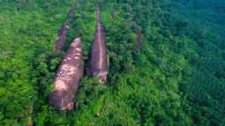 Desde el aire, las imponentes formaciones de piedra se asemejan sorprendentemente a una familia de ballenas deslizándose sobre un océano de árboles