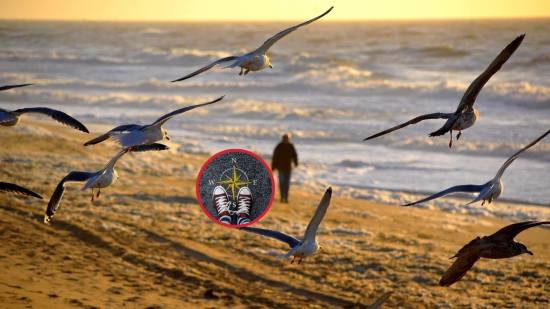 ¿Quieres una vida con propósito? La ciencia revela que la clave no es la felicidad, sino la esperanza