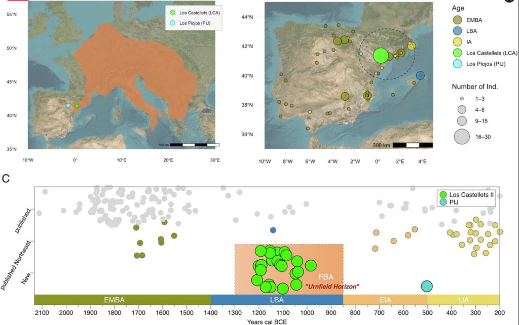 Endogamia en la Edad del Bronce peninsular
